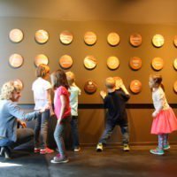 Rogg in Museum