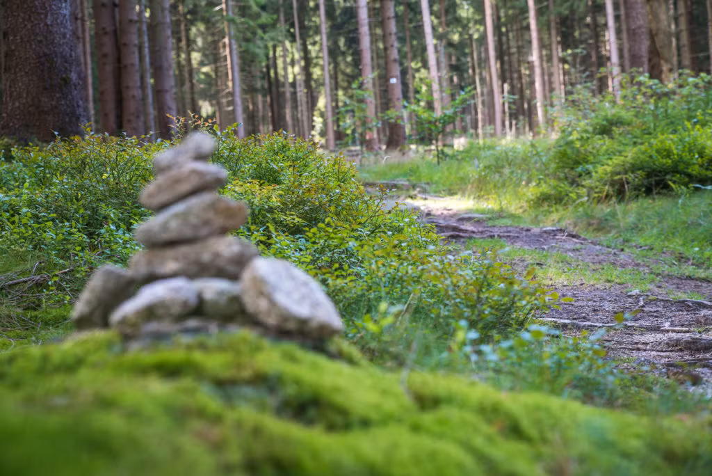 Wandern in Weissenstadt