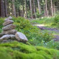 Wandern in Weissenstadt