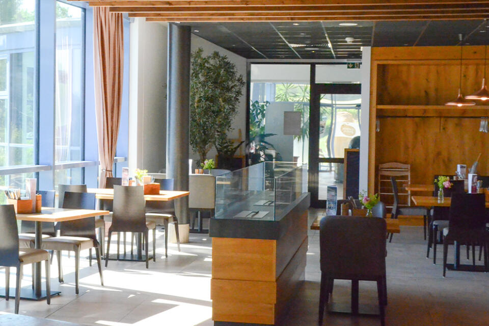 Ein modernes, sonnendurchflutetes Café mit Holztischen und -stühlen, großen Fenstern, Topfpflanzen und einer zentralen Theke vermittelt die einladende Atmosphäre des Steakhauses Siebenquell. Der Raum wirkt sauber, offen und einladend, und das hereinströmende Tageslicht schafft ein warmes und entspanntes Ambiente.
