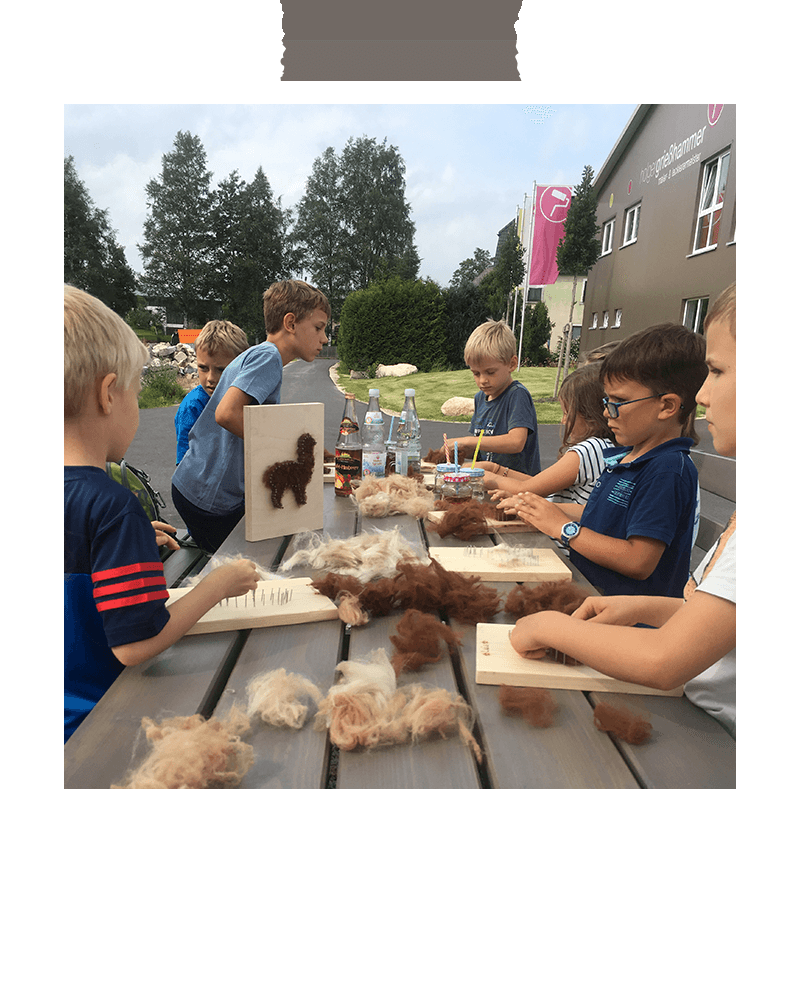 Kindergeburtstag mit Alpakawanderung