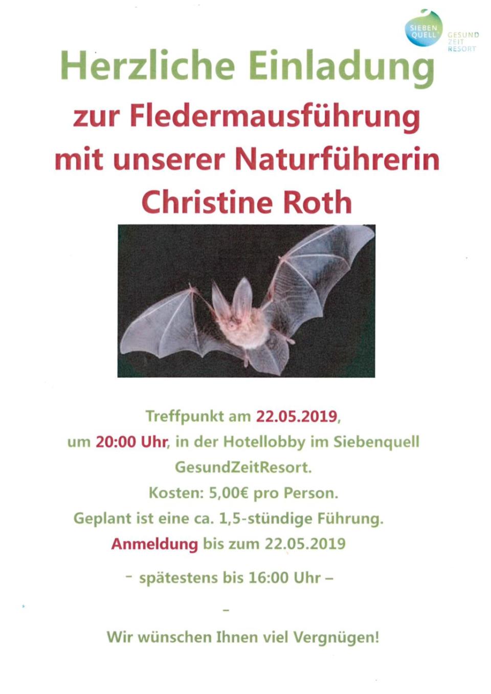 Fledermausführung