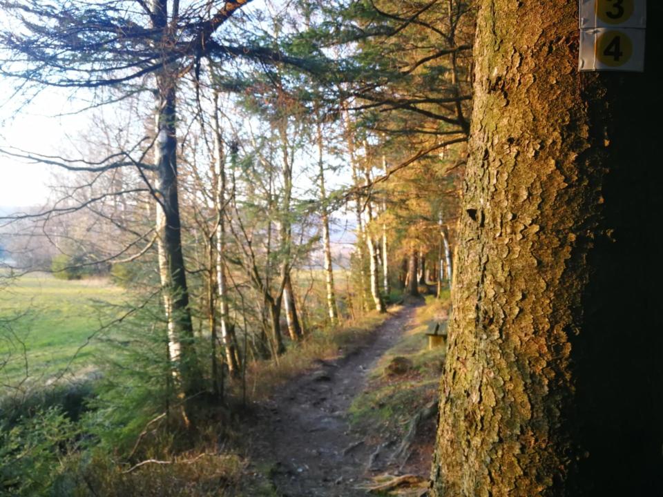 Wanderweg Rundwege 3 und 4 Weißenstadt