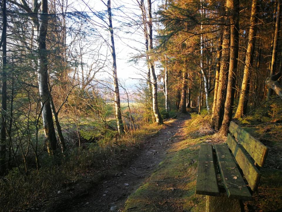 Wanderweg Rundwege 3 und 4 Weißenstadt