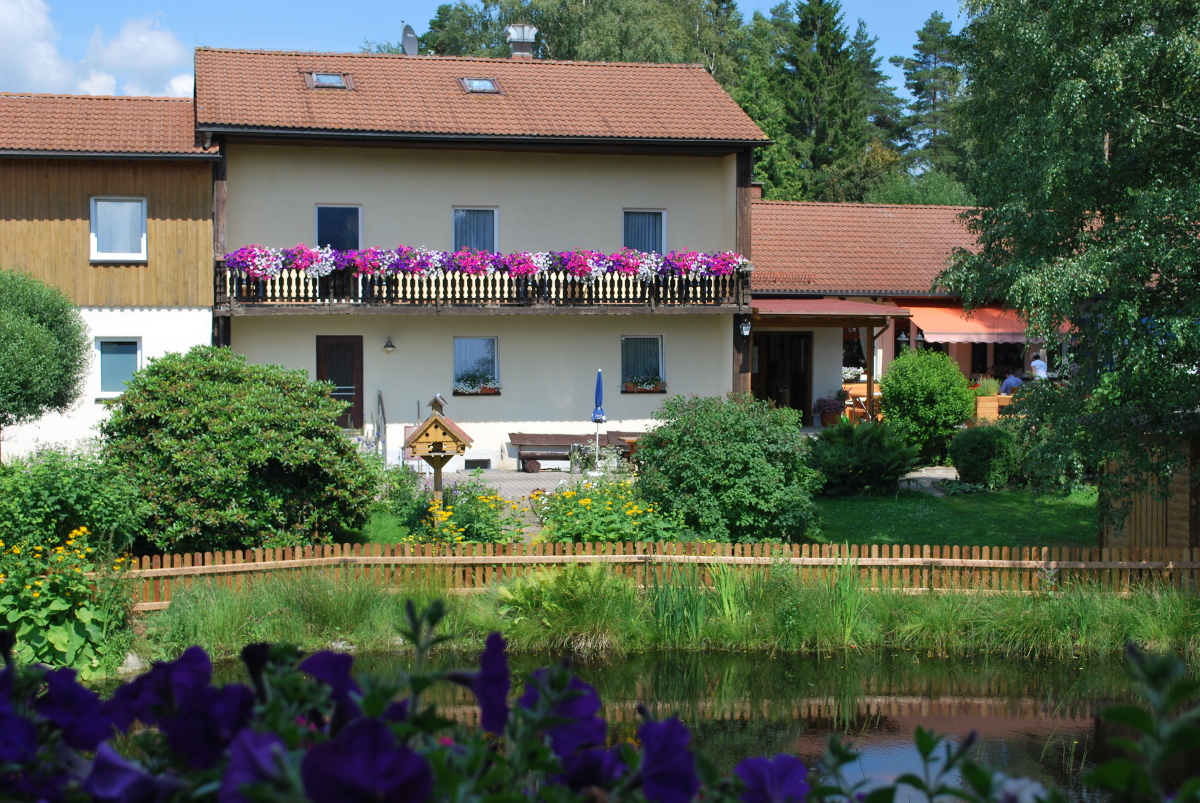 Birkenhof vor grünem Garten