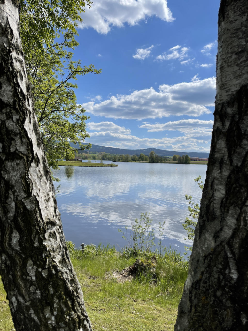 Blick auf den Weißenstädter See zwischen zwei Birken