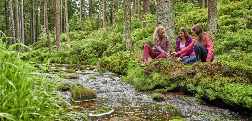 Wald-Gesund­heits­trai­ning – den Wald mit allen Sin­nen genießen