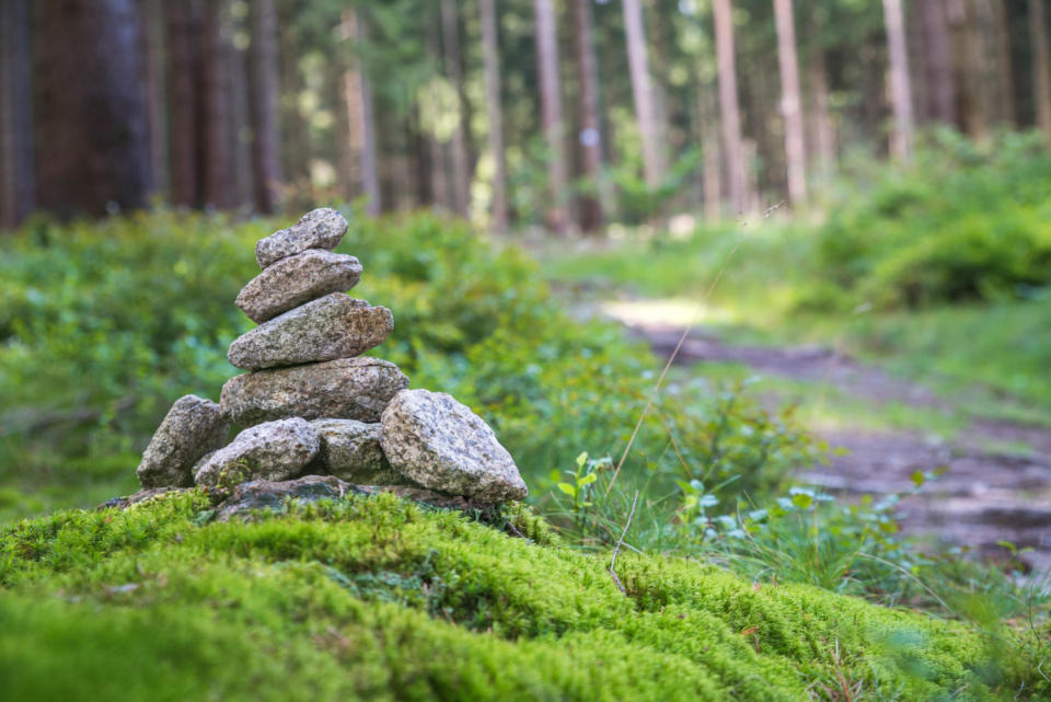 Entspannung im Wald