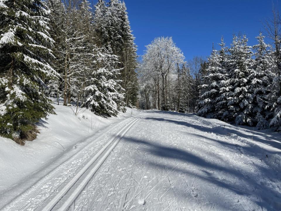 Langlaufloipe im Weißenstädter Wald