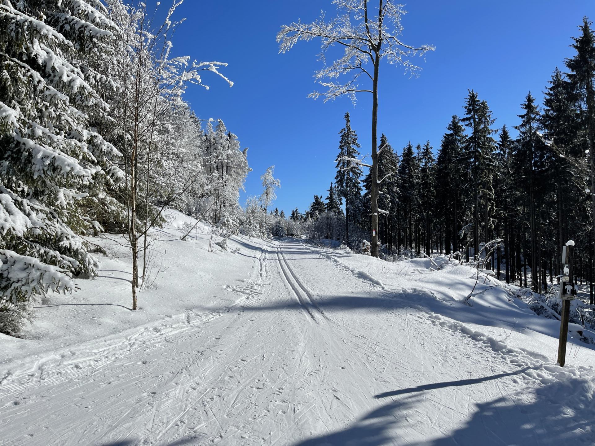 Langlaufloipe bei blauem Himmel in Weißenstadt