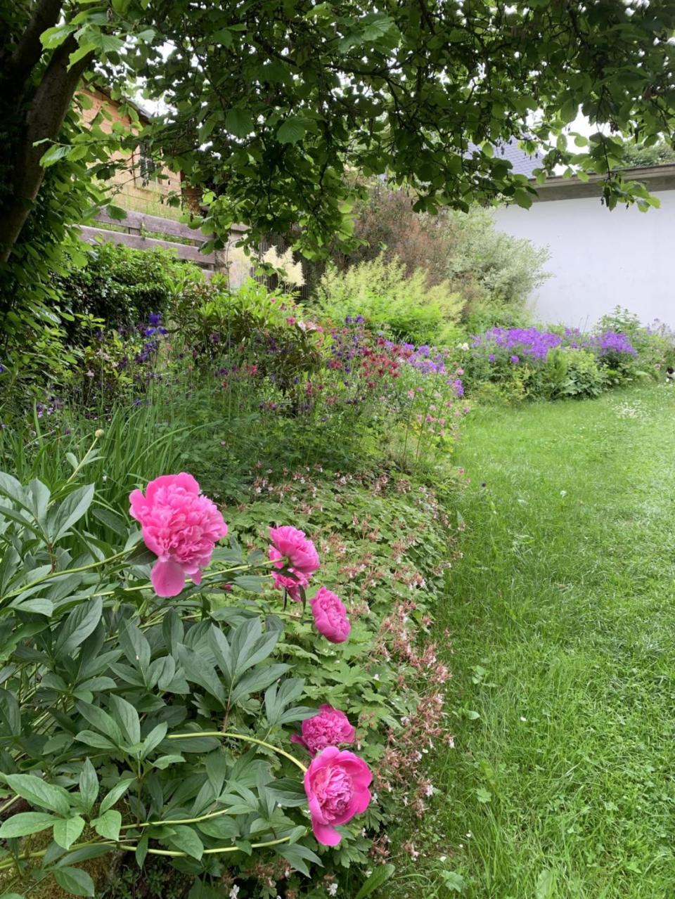 Blumen im Sicht- und Lehrgarten