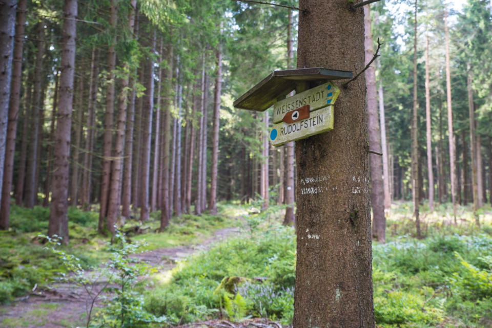 Wandern am Rudolfstein