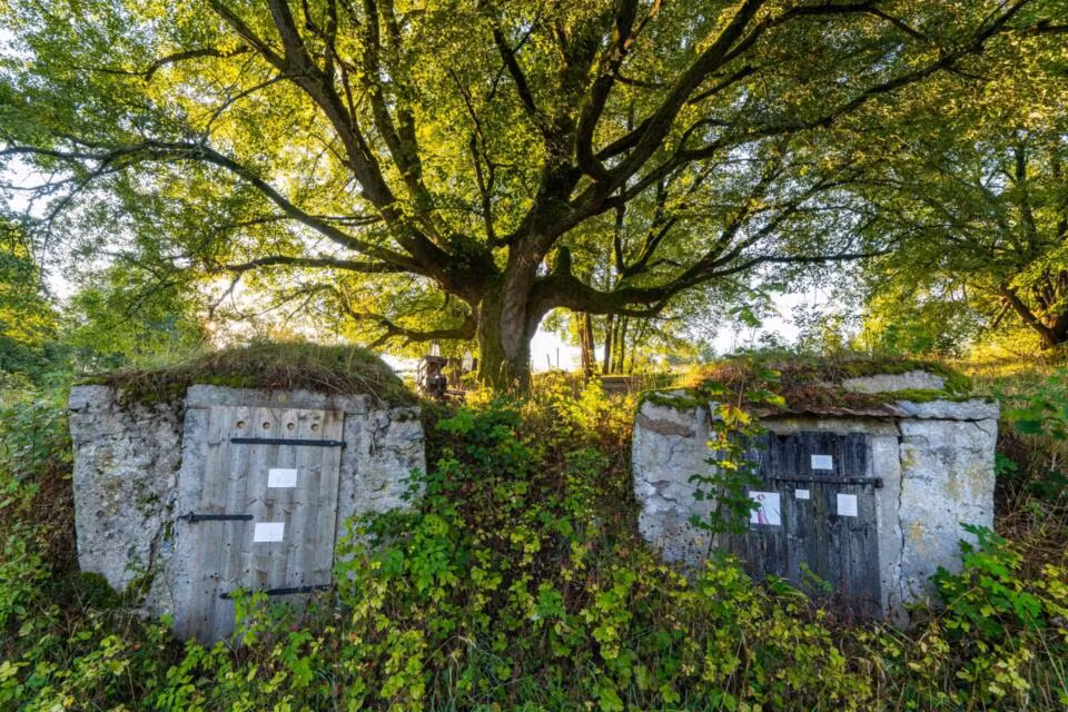 Eingang zu zwei Felsenkellern unter Bäumen am Kellerhausgelände.