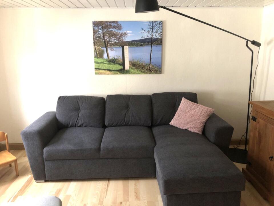 Ein graues Ecksofa mit einem rosa Kissen steht vor einer weißen Wand. Darüber hängt ein Landschaftsfoto mit Bäumen und einem See. Eine schwarze Stehlampe beugt sich über das Sofa, und daneben stehen ein Holzschrank und ein Stuhl.