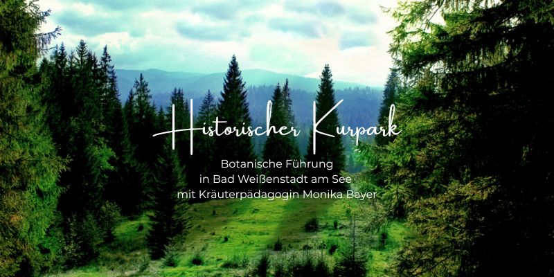 Kräu­ter-Spa­zier­gang im his­to­ri­schen Kurpark