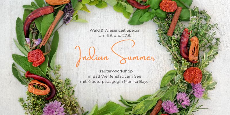 Wald & Wie­sen­zeit Special