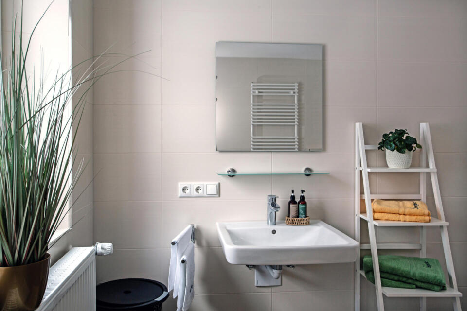 Modernes Badezimmer mit einem weißen Waschbecken, einem rechteckigen Spiegel, gefalteten Handtüchern auf einem weißen Leiterregal, einer Topfpflanze und Toilettenartikeln auf einem kleinen Glasregal über dem Waschbecken.