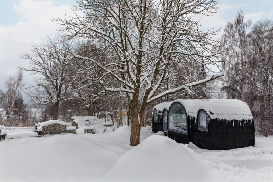 Eine verschneite Außenaufnahme mit kahlen Bäumen, tiefem Schnee, der den Boden bedeckt, Picknicktischen und einer dunklen Hütte mit gewölbtem Dach, auf dem Schnee liegt, eingebettet in eine friedliche Winterlandschaft.