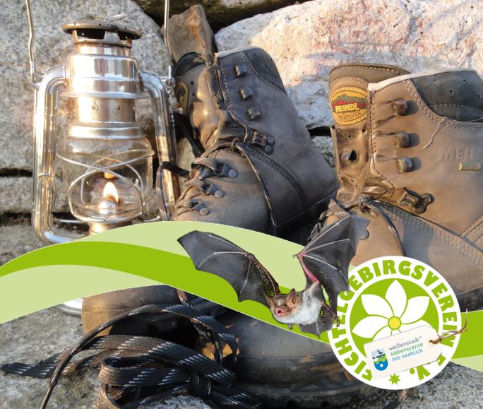 FGV Bad Wei­ßen­stadt: Fledermauswanderung